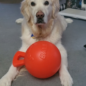 Fundraising Page: Monica Hommerding